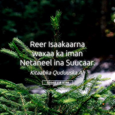 Picture 05 - Tirintii 1:8 SOM - Reer Isaakaarna waxaa ka iman Netaneel ina - Bible Verse Picture