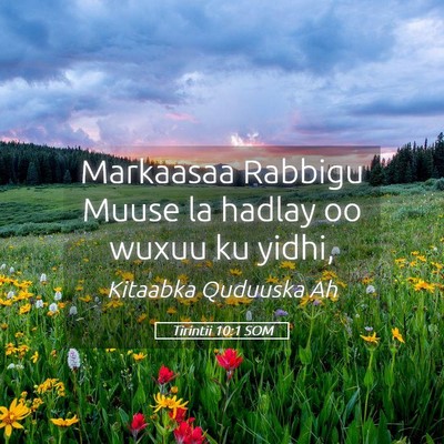 Picture 05 - Tirintii 10:1 SOM - Markaasaa Rabbigu Muuse la hadlay oo wuxuu ku - Bible Verse Picture