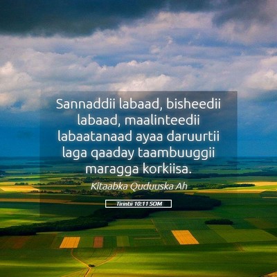 Picture 05 - Tirintii 10:11 SOM - Sannaddii labaad, bisheedii labaad, maalinteedii - Bible Verse Picture
