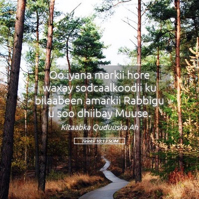 Picture 05 - Tirintii 10:13 SOM - Oo iyana markii hore waxay sodcaalkoodii ku - Bible Verse Picture