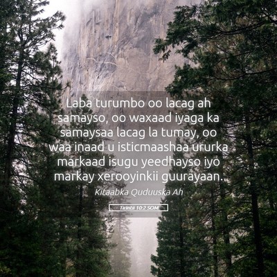 Picture 05 - Tirintii 10:2 SOM - Laba turumbo oo lacag ah samayso, oo waxaad iyaga - Bible Verse Picture