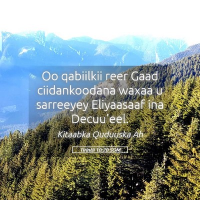 Picture 05 - Tirintii 10:20 SOM - Oo qabiilkii reer Gaad ciidankoodana waxaa u - Bible Verse Picture