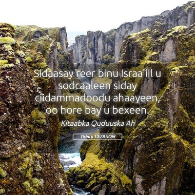Picture 05 - Tirintii 10:28 SOM - Sidaasay reer binu Israa'iil u sodcaaleen siday - Bible Verse Picture