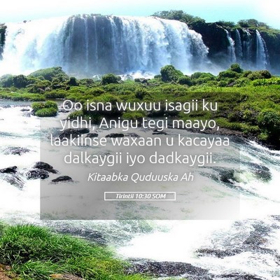Picture 05 - Tirintii 10:30 SOM - Oo isna wuxuu isagii ku yidhi, Anigu tegi maayo, - Bible Verse Picture