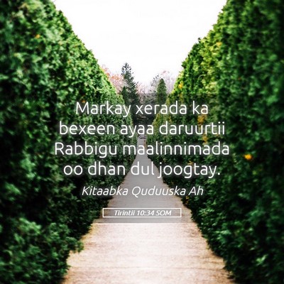 Picture 05 - Tirintii 10:34 SOM - Markay xerada ka bexeen ayaa daruurtii Rabbigu - Bible Verse Picture