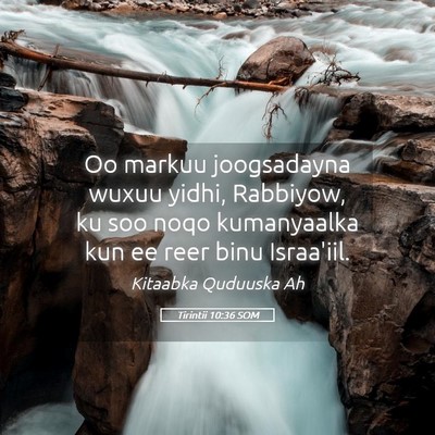Picture 05 - Tirintii 10:36 SOM - Oo markuu joogsadayna wuxuu yidhi, Rabbiyow, ku - Bible Verse Picture