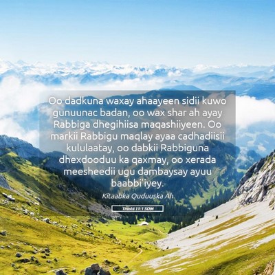 Picture 05 - Tirintii 11:1 SOM - Oo dadkuna waxay ahaayeen sidii kuwo gunuunac - Bible Verse Picture