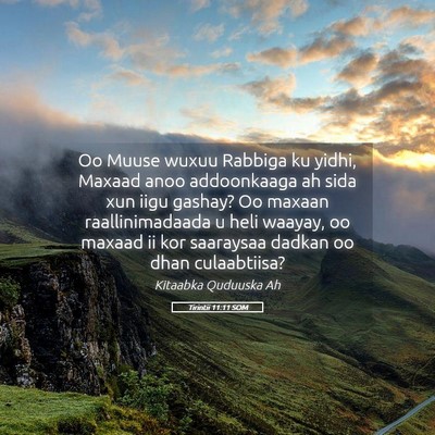 Picture 05 - Tirintii 11:11 SOM - Oo Muuse wuxuu Rabbiga ku yidhi, Maxaad anoo - Bible Verse Picture