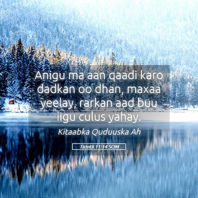 Picture 05 - Tirintii 11:14 SOM - Anigu ma aan qaadi karo dadkan oo dhan, maxaa - Bible Verse Picture