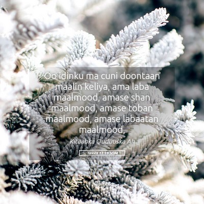 Picture 05 - Tirintii 11:19 SOM - Oo idinku ma cuni doontaan maalin keliya, ama - Bible Verse Picture