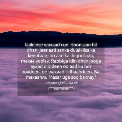 Picture 05 - Tirintii 11:20 SOM - laakiinse waxaad cuni doontaan bil dhan, jeer aad - Bible Verse Picture
