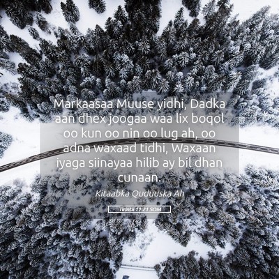 Picture 05 - Tirintii 11:21 SOM - Markaasaa Muuse yidhi, Dadka aan dhex joogaa waa - Bible Verse Picture