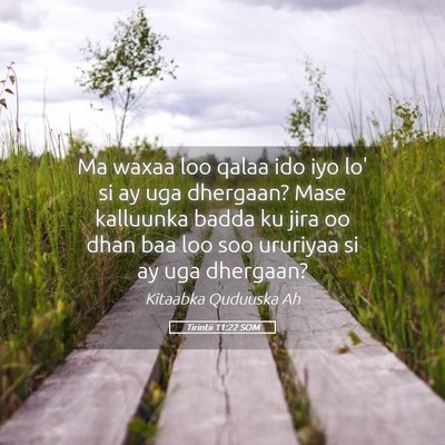 Picture 05 - Tirintii 11:22 SOM - Ma waxaa loo qalaa ido iyo lo' si ay uga - Bible Verse Picture