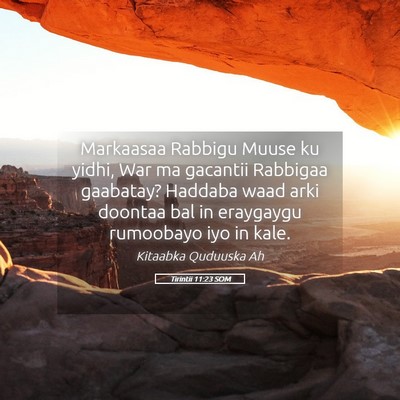 Picture 05 - Tirintii 11:23 SOM - Markaasaa Rabbigu Muuse ku yidhi, War ma gacantii - Bible Verse Picture