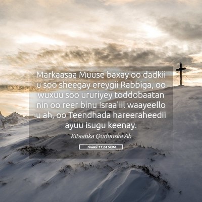 Picture 05 - Tirintii 11:24 SOM - Markaasaa Muuse baxay oo dadkii u soo sheegay - Bible Verse Picture