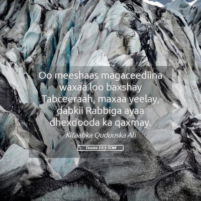 Picture 05 - Tirintii 11:3 SOM - Oo meeshaas magaceediina waxaa loo baxshay - Bible Verse Picture