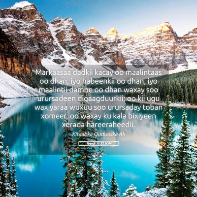 Picture 05 - Tirintii 11:32 SOM - Markaasaa dadkii kacay oo maalintaas oo dhan, iyo - Bible Verse Picture