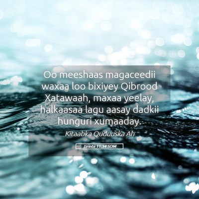 Picture 05 - Tirintii 11:34 SOM - Oo meeshaas magaceedii waxaa loo bixiyey Qibrood - Bible Verse Picture