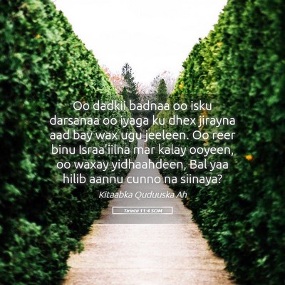 Picture 05 - Tirintii 11:4 SOM - Oo dadkii badnaa oo isku darsanaa oo iyaga ku - Bible Verse Picture