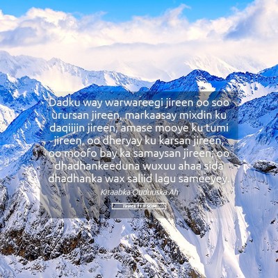 Picture 05 - Tirintii 11:8 SOM - Dadku way warwareegi jireen oo soo urursan - Bible Verse Picture