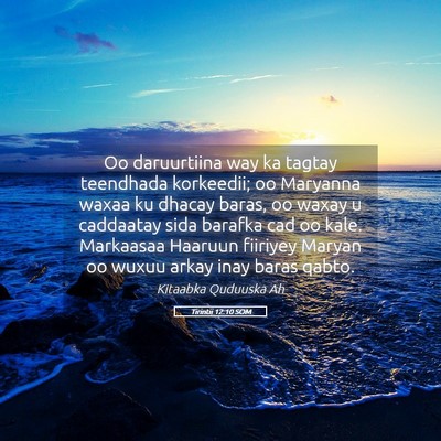 Picture 05 - Tirintii 12:10 SOM - Oo daruurtiina way ka tagtay teendhada korkeedii; - Bible Verse Picture