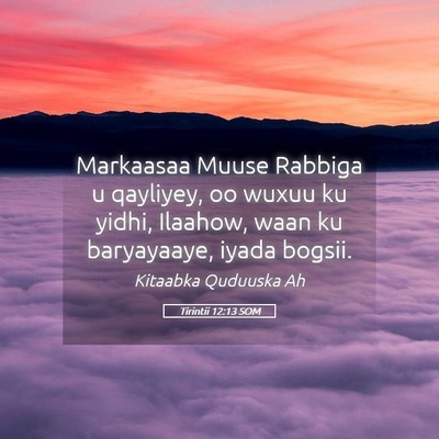 Picture 05 - Tirintii 12:13 SOM - Markaasaa Muuse Rabbiga u qayliyey, oo wuxuu ku - Bible Verse Picture