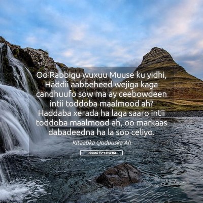 Picture 05 - Tirintii 12:14 SOM - Oo Rabbigu wuxuu Muuse ku yidhi, Haddii aabbeheed - Bible Verse Picture