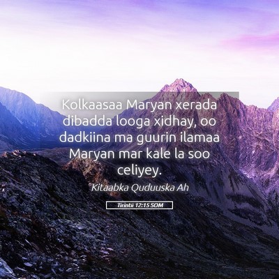 Picture 05 - Tirintii 12:15 SOM - Kolkaasaa Maryan xerada dibadda looga xidhay, oo - Bible Verse Picture
