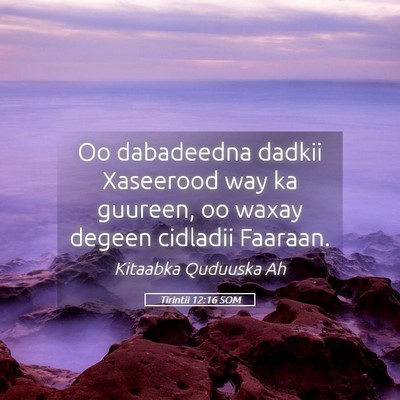 Picture 05 - Tirintii 12:16 SOM - Oo dabadeedna dadkii Xaseerood way ka guureen, oo - Bible Verse Picture