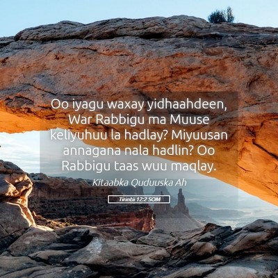Picture 05 - Tirintii 12:2 SOM - Oo iyagu waxay yidhaahdeen, War Rabbigu ma Muuse - Bible Verse Picture