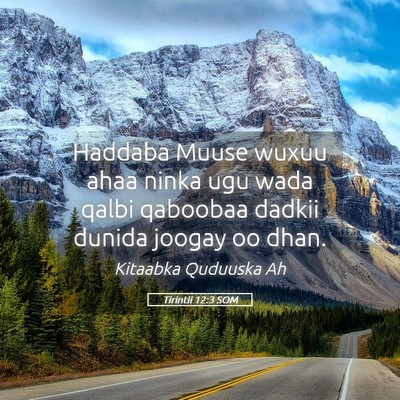 Picture 05 - Tirintii 12:3 SOM - Haddaba Muuse wuxuu ahaa ninka ugu wada qalbi - Bible Verse Picture