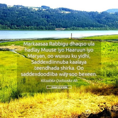 Picture 05 - Tirintii 12:4 SOM - Markaasaa Rabbigu dhaqso ula hadlay Muuse iyo - Bible Verse Picture