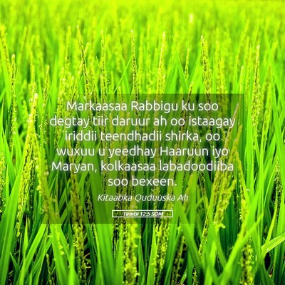 Picture 05 - Tirintii 12:5 SOM - Markaasaa Rabbigu ku soo degtay tiir daruur ah oo - Bible Verse Picture