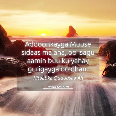 Picture 05 - Tirintii 12:7 SOM - Addoonkayga Muuse sidaas ma aha, oo isagu aamin - Bible Verse Picture