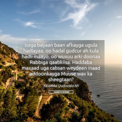 Picture 05 - Tirintii 12:8 SOM - Isaga bayaan baan afkayga ugula hadlayaa, oo - Bible Verse Picture