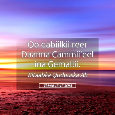 Picture 05 - Tirintii 13:12 SOM - Oo qabiilkii reer Daanna Cammii'eel ina - Bible Verse Picture