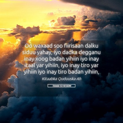 Picture 05 - Tirintii 13:18 SOM - Oo waxaad soo fiirisaan dalku siduu yahay, iyo - Bible Verse Picture