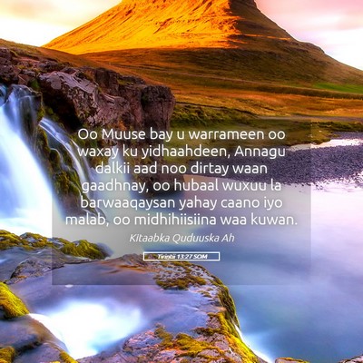 Picture 05 - Tirintii 13:27 SOM - Oo Muuse bay u warrameen oo waxay ku yidhaahdeen, - Bible Verse Picture