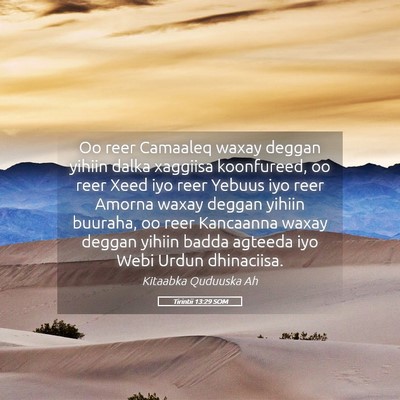 Picture 05 - Tirintii 13:29 SOM - Oo reer Camaaleq waxay deggan yihiin dalka - Bible Verse Picture
