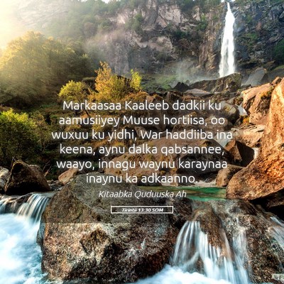 Picture 05 - Tirintii 13:30 SOM - Markaasaa Kaaleeb dadkii ku aamusiiyey Muuse - Bible Verse Picture