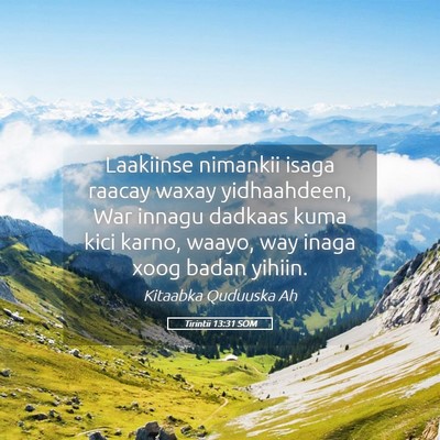 Picture 05 - Tirintii 13:31 SOM - Laakiinse nimankii isaga raacay waxay - Bible Verse Picture