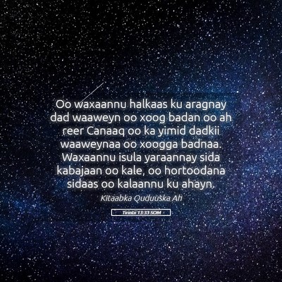 Picture 05 - Tirintii 13:33 SOM - Oo waxaannu halkaas ku aragnay dad waaweyn oo - Bible Verse Picture
