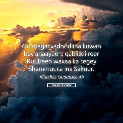 Picture 05 - Tirintii 13:4 SOM - Oo magacyadoodiina kuwan bay ahaayeen: qabiilkii - Bible Verse Picture