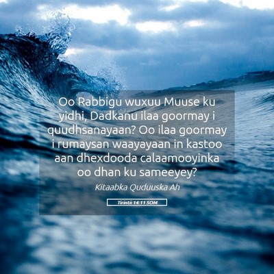 Picture 05 - Tirintii 14:11 SOM - Oo Rabbigu wuxuu Muuse ku yidhi, Dadkanu ilaa - Bible Verse Picture