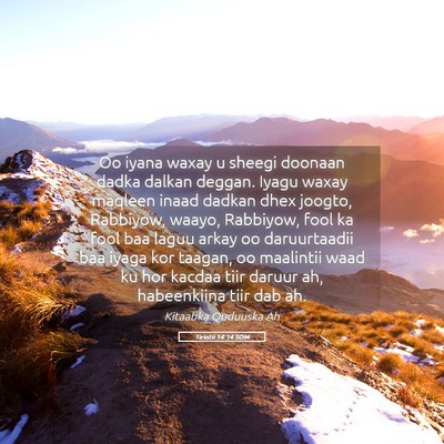 Picture 05 - Tirintii 14:14 SOM - Oo iyana waxay u sheegi doonaan dadka dalkan - Bible Verse Picture