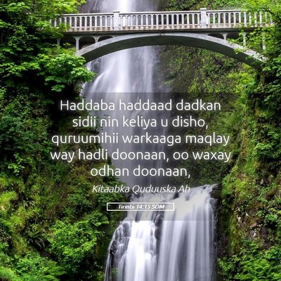 Picture 05 - Tirintii 14:15 SOM - Haddaba haddaad dadkan sidii nin keliya u disho, - Bible Verse Picture