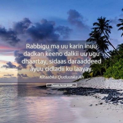 Picture 05 - Tirintii 14:16 SOM - Rabbigu ma uu karin inuu dadkan keeno dalkii uu - Bible Verse Picture