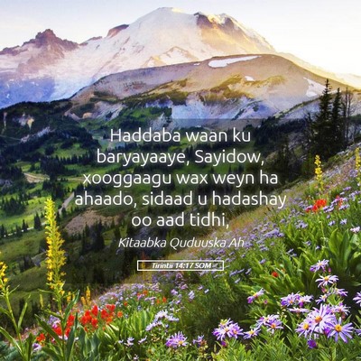 Picture 05 - Tirintii 14:17 SOM - Haddaba waan ku baryayaaye, Sayidow, xooggaagu - Bible Verse Picture
