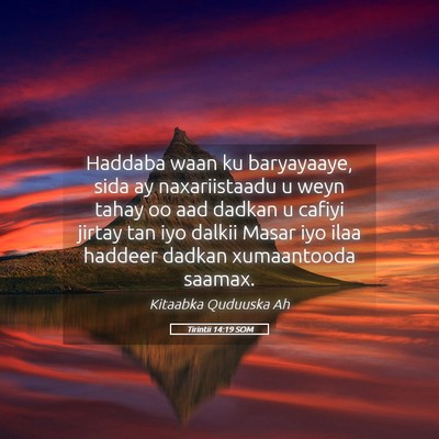 Picture 05 - Tirintii 14:19 SOM - Haddaba waan ku baryayaaye, sida ay naxariistaadu - Bible Verse Picture