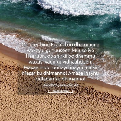 Picture 05 - Tirintii 14:2 SOM - Oo reer binu Israa'iil oo dhammuna waxay u - Bible Verse Picture